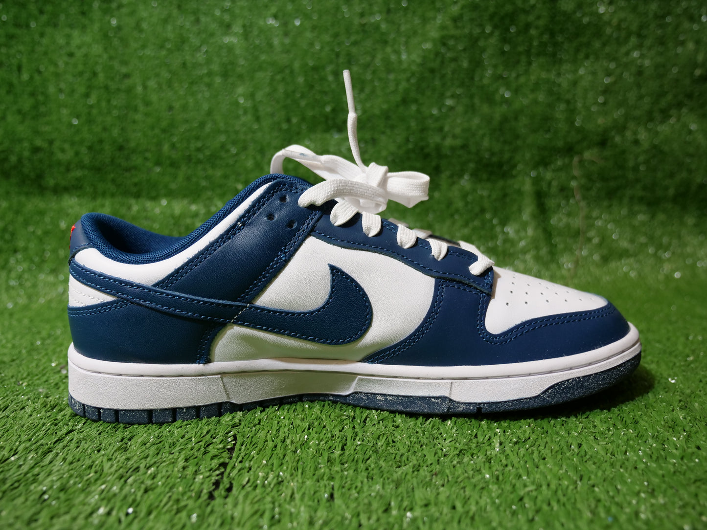 Nike Dunk Low - Valerian Blue