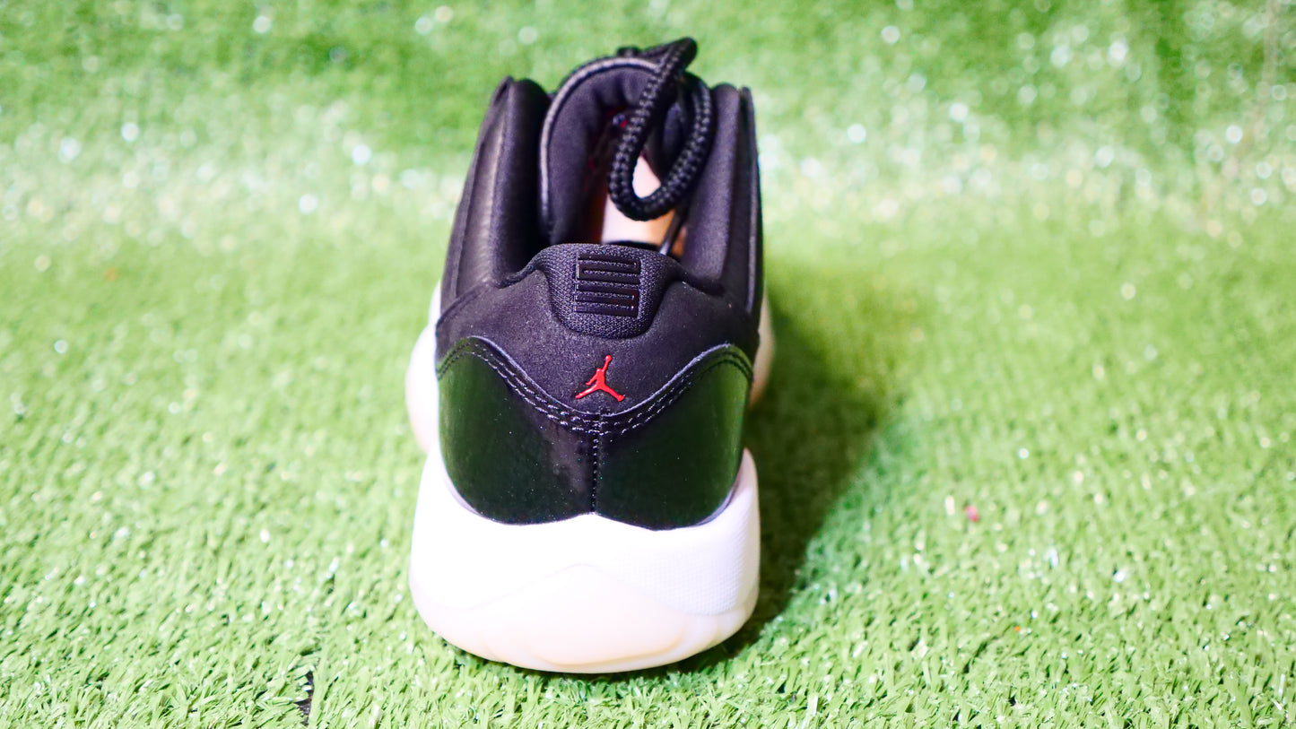 Jordan 11 Retro Low 72-10