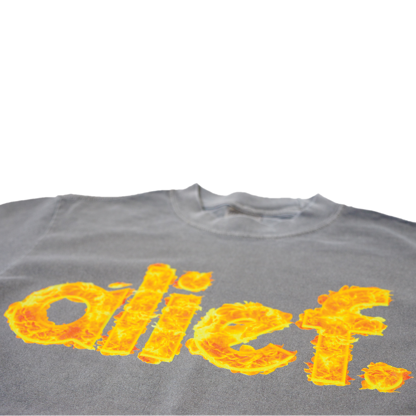 Alief On Fire Tee - Gray