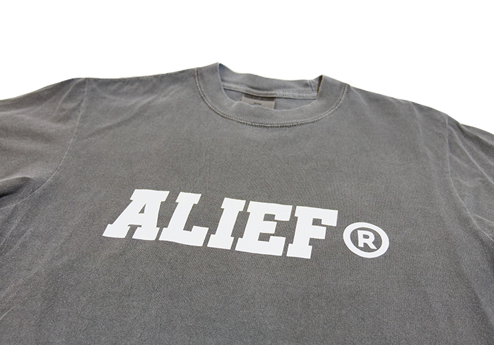 Applecity 3.0 Gray Tee (White ink)