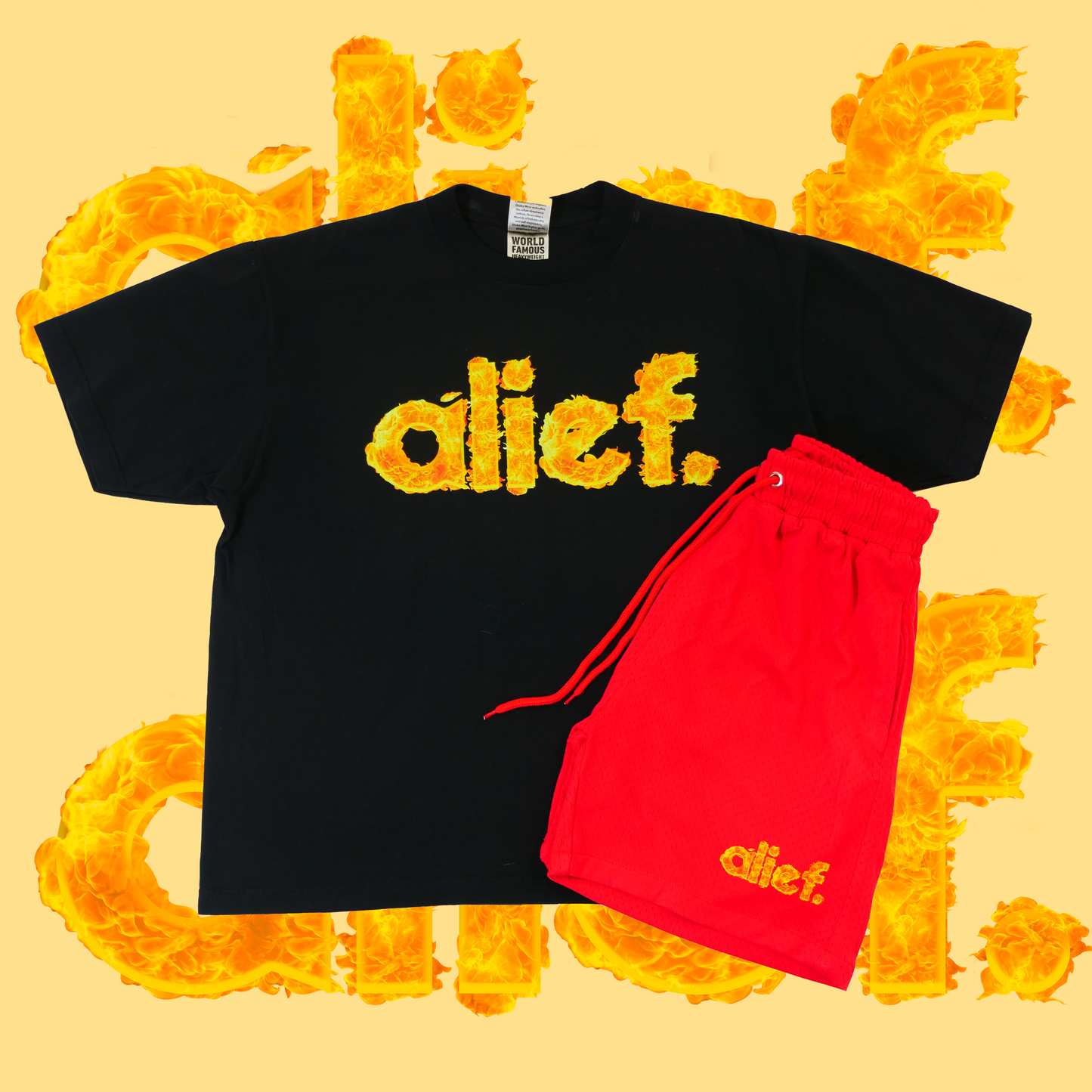 Alief On fire Shorts - Black