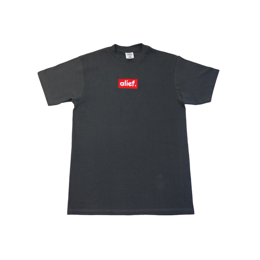 Alief You Weren’t There Tee - Gray/Red Box