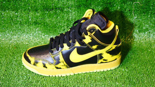 Nike Dunk high 1985 SP