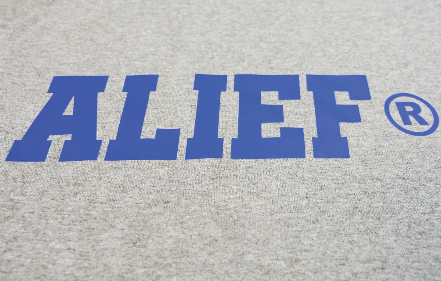 Alief 2.0 Spirit Tee - Gray/ Navy Blue