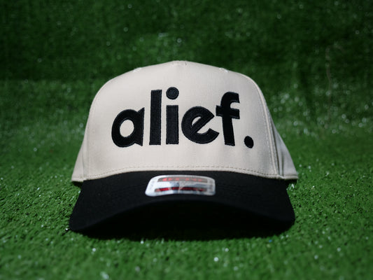Bold Alief Snapback - Black and White/Black