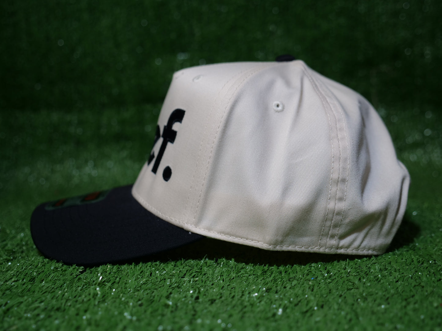 Bold Alief Snapback - Black and White/Black