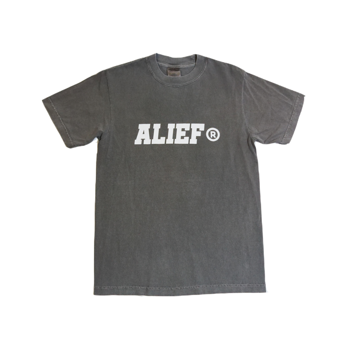 Applecity 3.0 Gray Tee (White ink)